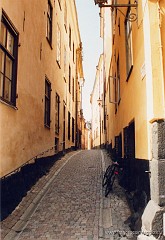 19.jpg  19